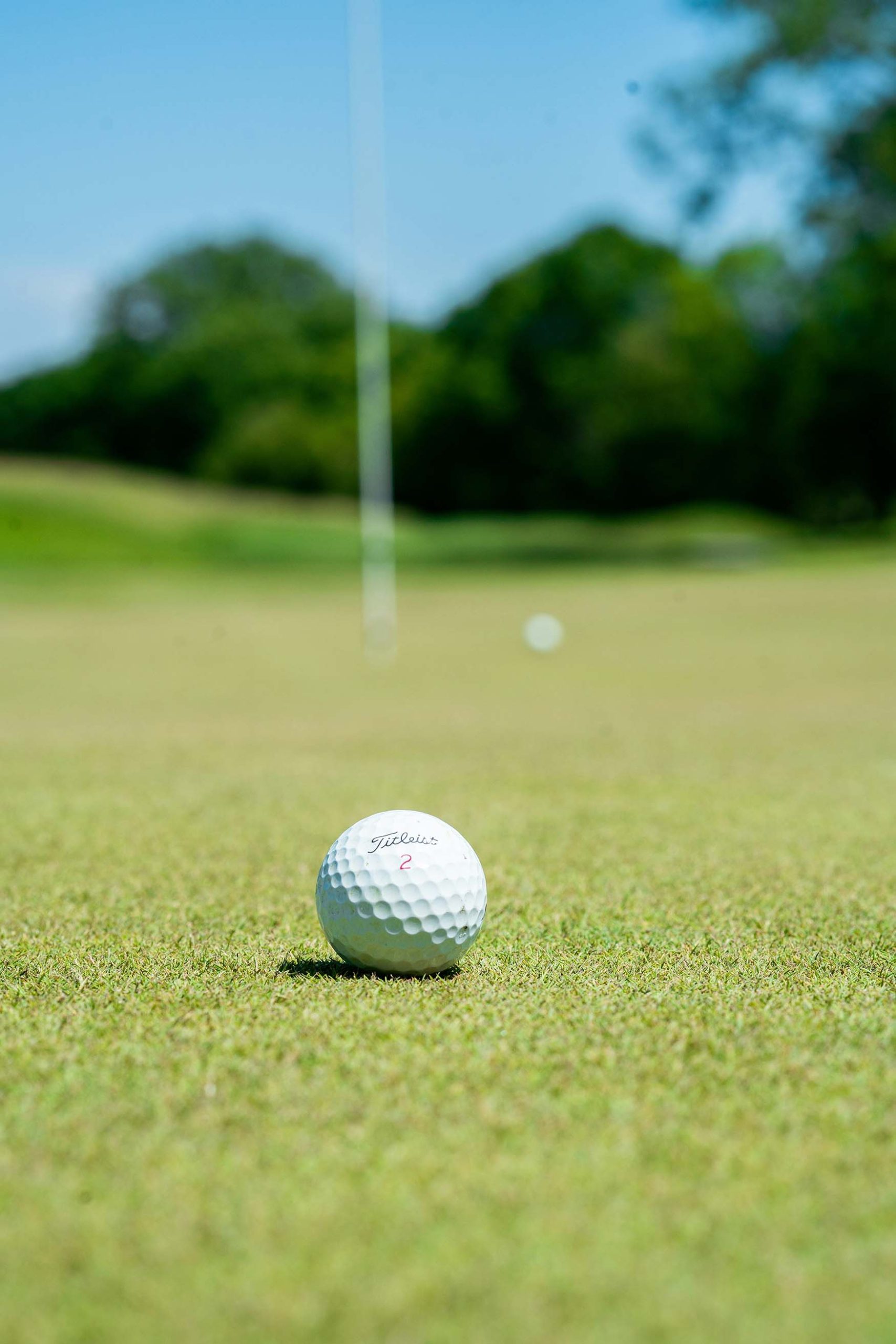 Close up of a golf ball on a golf course depicting activities