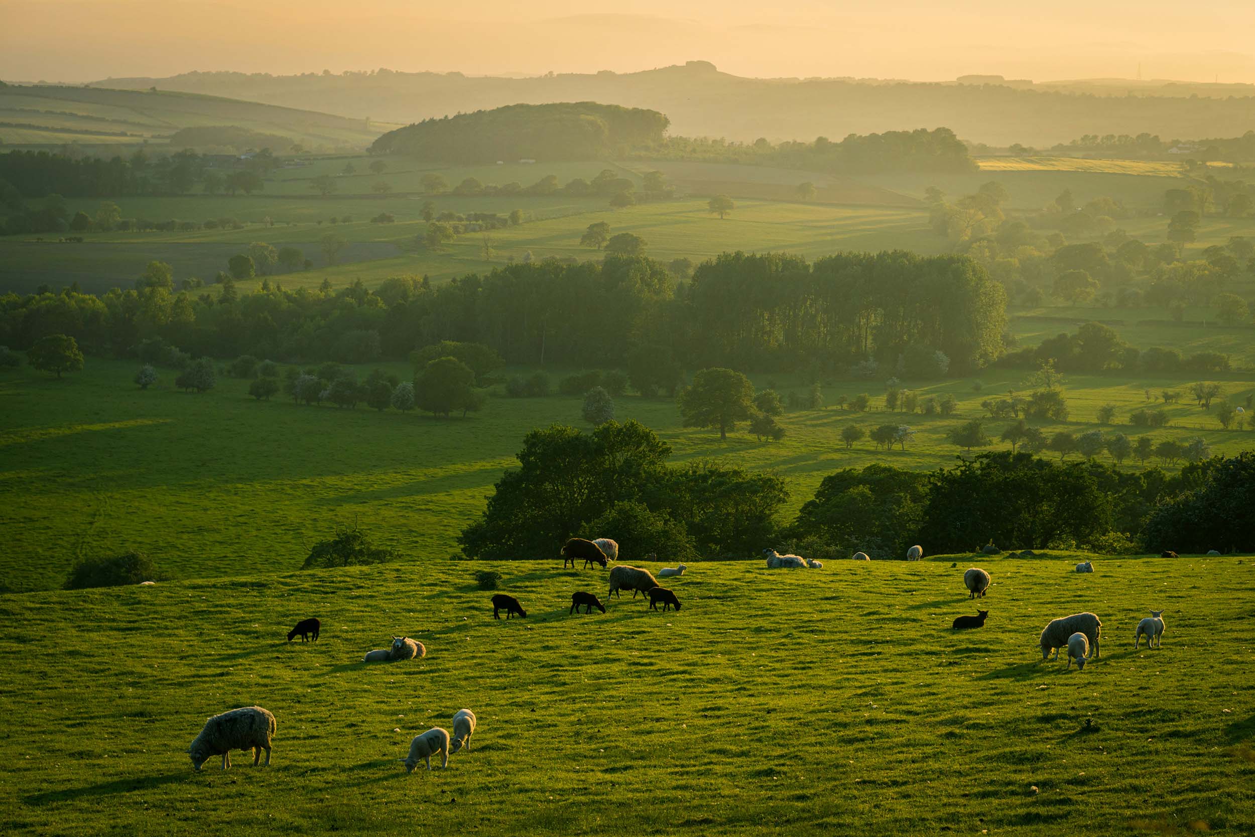 Image of the English countryside with rolling green hills and a blue sky